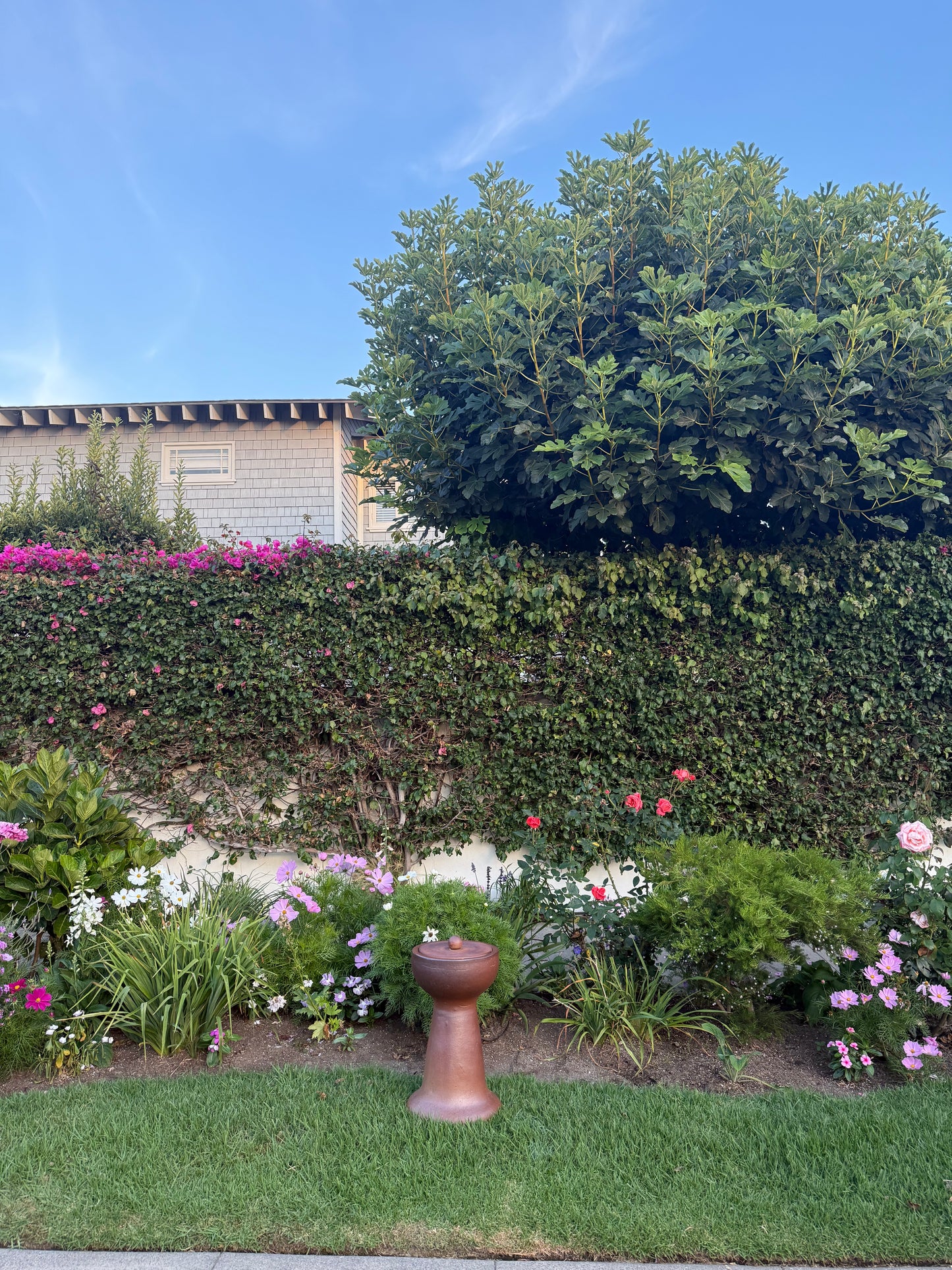 The Soil Maker™ (Pre-Order)